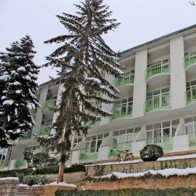 Hotel Klimetica Охрид Экстерьер фото